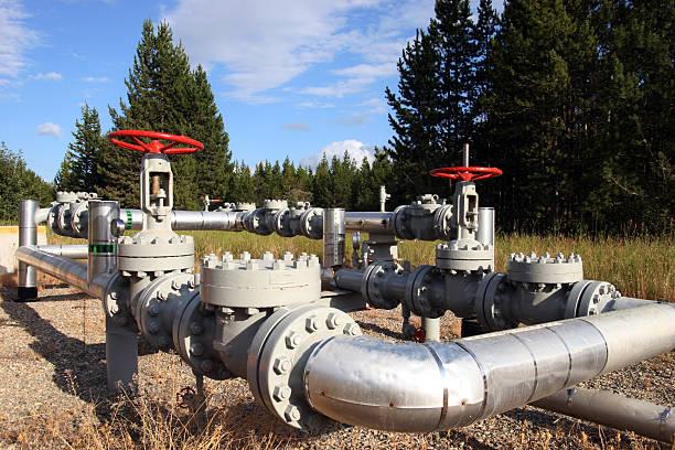 aseptic split butterfly valve manufacturers