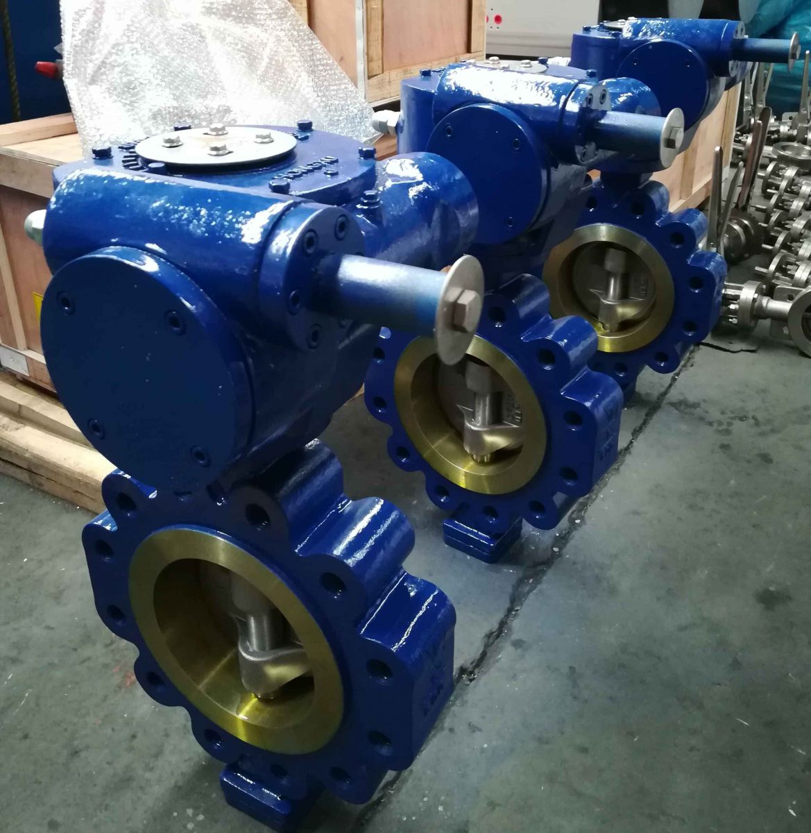 china water double check valve