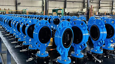 valve design