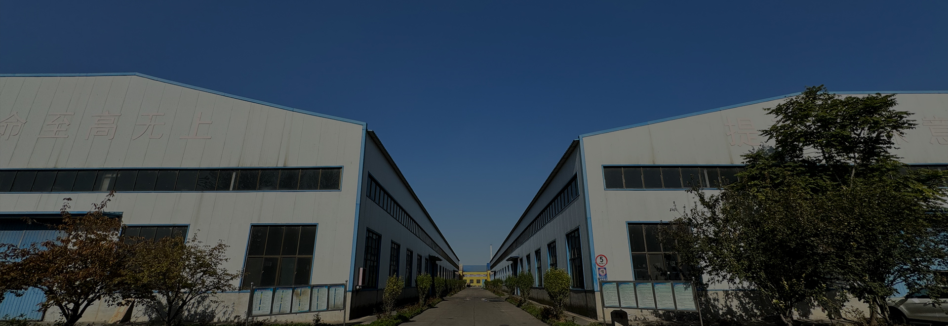 a one way check valve supplier
