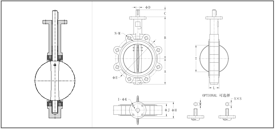 gasoline check valve factory
